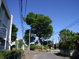mito4-005