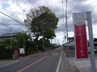 mito4-147