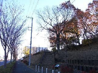 yokoyamamichi-002